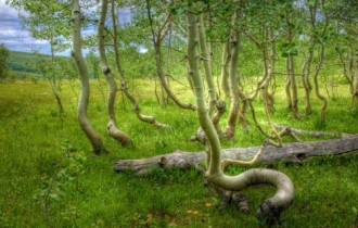 Wallpapers от National geographic (139 обоев)