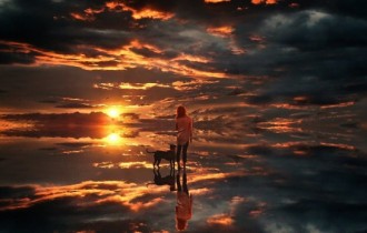 Собаки 134 (30 обоев)