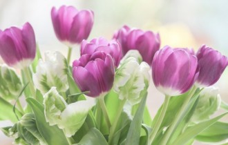 Floral wallpaper 839 (3840x2160) (30 wallpapers)