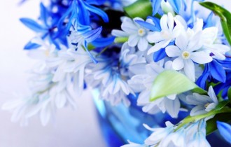 Цветочные обои 805 (2560x1600) (30 обоев)