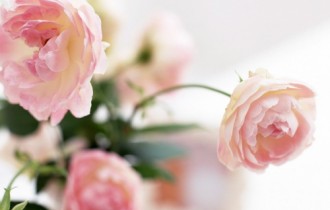 45 Beautiful Flowers HQ Wallpapers (31 обоев)