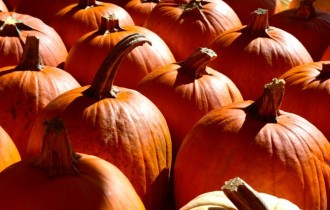 Еда 804 (30 обоев)