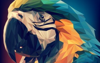 Птицы 183 (30 обоев)