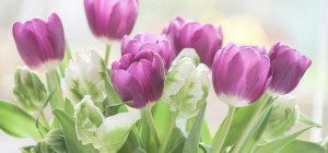 Floral wallpaper 839 (3840x2160) (30 wallpapers)