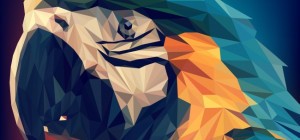 Птицы 183 (30 обоев)